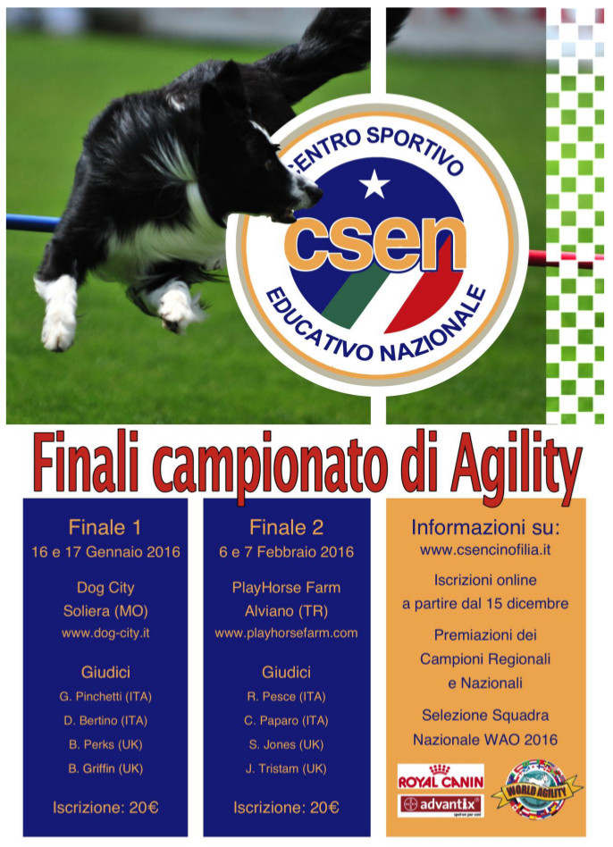 FINALE CAMPIONATO DOG AGILITY