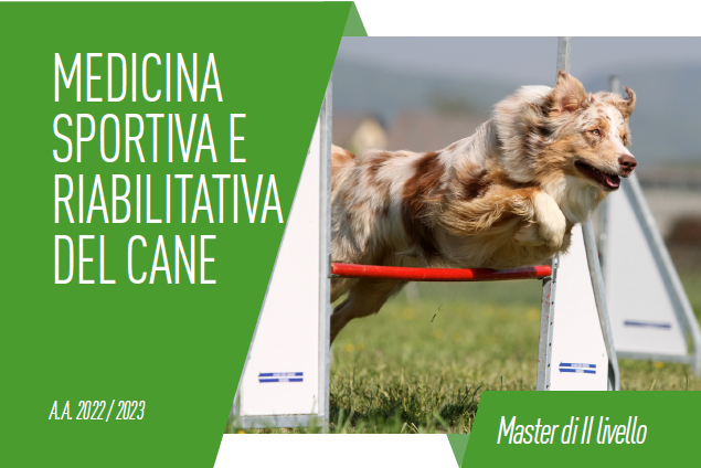 MEDICINA SPORTIVA E RIABILITATIVA DEL CANE - BANDO
