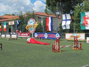 world agility open 13 20140619 1287474240