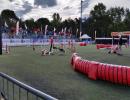 world agility open 18 20140619 1256457163