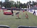 world agility open 3 20140619 2097546863