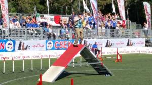 world agility open 9 20140619 1951357327